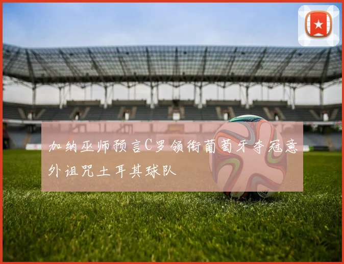 加纳巫师预言C罗领衔葡萄牙夺冠意外诅咒土耳其球队