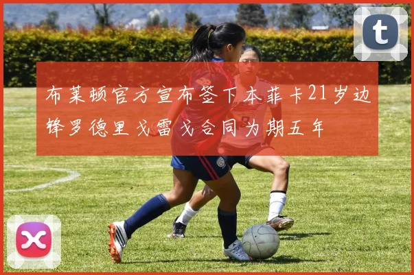 布莱顿官方宣布签下本菲卡21岁边锋罗德里戈雷戈合同为期五年